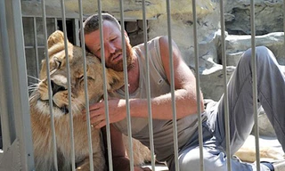 Sống năm tuần trong lồng sắt cùng sư tử