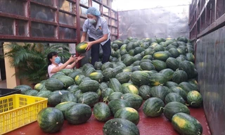 Dưa hấu trên những chuyến xe hỗ trợ tiêu thụ ở Hà Nội. Ảnh: Hoàng Mạnh Thắng 