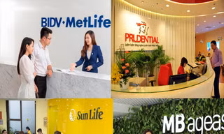 Bốn doanh nghiệp bảo hiểm vừa được Bộ Tài chính công bố kết luận thanh tra ảnh: PV 