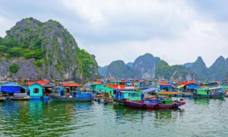  Kỳ 3: Ai đánh mất văn hóa làng chài? 