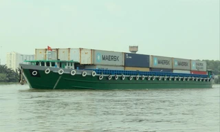 Để chuyển hàng bằng đường biển, các DN cần phải đảm bảo chất lượng sản phẩm, đồng thời có giấy chứng ngạch an toàn thực phẩm