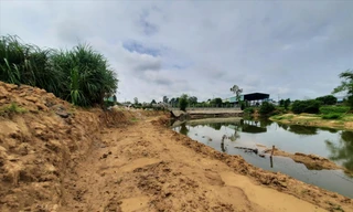 Quảng Nam: Doanh nghiệp chiếm hơn 8.300m2 đất phi nông nghiệp 