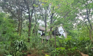 Các biệt thự nghỉ dưỡng tiếp tục mọc lên trên đất rừng tại xã Minh Phú 