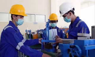 Xử phạt hành chính trong giáo dục: Không chỉ nộp tiền là xong 