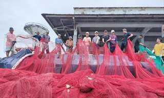 Bước qua nỗi sợ, tạo đột phá kinh tế