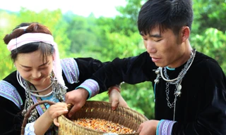 Đa mang Nguyễn Duy Ngọc 