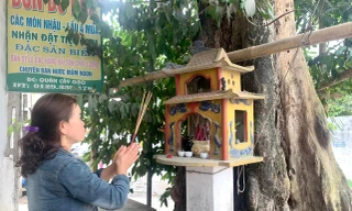 Từ bao đời nay, người dân Diễn Kim coi cây gạo trở thành một phần không thể thiếu trong đời sống tinh thần của họ Ảnh: T.H 