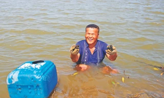 Chuyện ly kì về 'Rái cá' mù ở biển Tây Nam