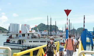 Khách thăm vịnh Hạ Long