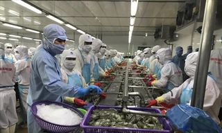 Xuất khẩu tăng kỷ lục, doanh nghiệp đối mặt nhiều nỗi lo