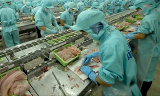 Các doanh nghiệp thủy sản kỳ vọng sớm được cởi trói các quy định bất cập 