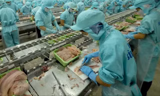 Các doanh nghiệp thủy sản kỳ vọng sớm được cởi trói các quy định bất cập 