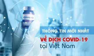 Thông tin mới nhất về diễn biến dịch COVID-19 tại Việt Nam