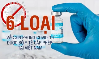 6 loại vắc xin phòng COVID-19 được cấp phép tiêm tại Việt Nam