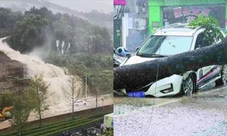 Bão Talim đổ bộ vào Trung Quốc: Đến cá voi cũng bị đánh giạt vào bờ