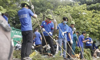 Đoàn viên, thanh niên TP.HCM tham gia hưởng ứng Ngày Chủ Nhật Xanh lần thứ 150