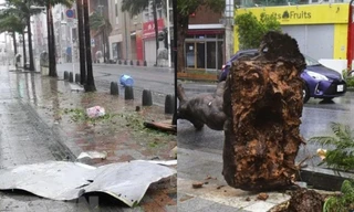 Bão Khanun gây ra gió mạnh dữ dội ở Nhật Bản, có điểm rất giống bão Doksuri