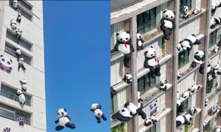 Cnet xiêu lòng trước điểm check-in mới tại Trung Quốc ngập tràn "quốc bảo" gấu trúc