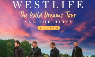 Cuộc chiến săn vé Westlife ngã ngũ: Người mua được từ sớm, người vẫn kiếm "vé vớt"