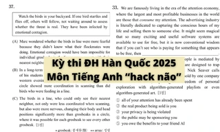 Câu hỏi tiếng Anh kỳ thi đại học Hàn Quốc khiến sĩ tử đau đầu vì quá "hack não"
