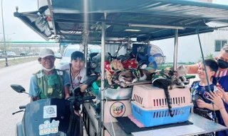 Cổ tích giữa đời thực gây xúc động: Người đàn ông "phiêu lưu" cùng 11 chú mèo hoang