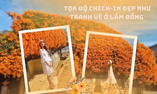 Tọa độ check-in tại Lâm Đồng: Ngôi nhà phủ đầy hoa xác pháo đẹp tựa như tranh vẽ