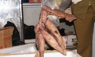 Cơ quan chức năng kiểm tra số thực phẩm nghi hết hạn sử dụng. Ảnh: MĐ