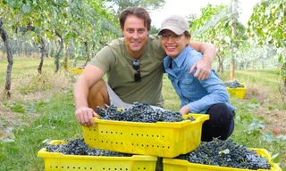 Vườn nho đẹp như mơ của Hoa hậu Ngọc Khánh