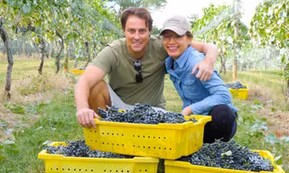 Vườn nho đẹp như mơ của Hoa hậu Ngọc Khánh