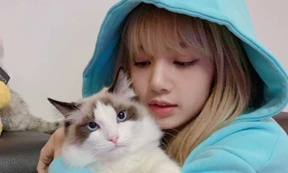 Nghe tin Lisa làm điều này đến lần thứ 5, netizen bàng hoàng “Tưởng nói chơi mà hóa thật”