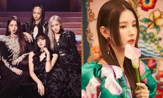 BLACKPINK độc chiếm BXH thương hiệu: Rosé nhảy vọt, đến thành viên hụt Miyeon cũng đứng hạng cao