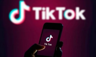 Daily Media giúp phát triển tài năng và kiếm tiền trên TikTok 