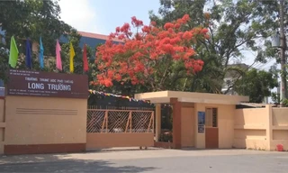 TPHCM: Nữ sinh gọi 'hội' xông vào trường đánh bạn