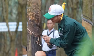 Tập đoàn Công nghiệp Cao su Việt Nam trao giải báo chí viết về ngành cao su