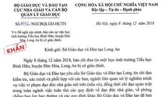 Bộ GD&ĐT yêu cầu làm rõ cô giáo đánh bầm hông học sinh ở Long An