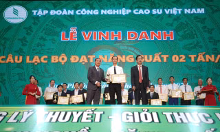 Tập đoàn Công nghiệp Cao su Việt Nam vinh danh công ty đạt năng suất trên 2 tấn/ha