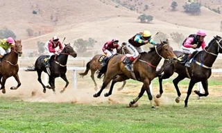 Thù lao chi trả cho Hội đồng giám sát cuộc đua do doanh nghiệp kinh doanh đặt cược chi trả. Hội đồng có quyền tạm dừng cuộc đua nếu thấy nghi ngờ gian lận.