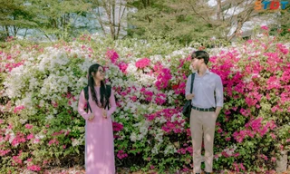 “Bão like” với bộ ảnh bên hoa giấy của cặp đôi sinh viên trường ĐH Tôn Đức Thắng 