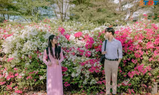 “Bão like” với bộ ảnh bên hoa giấy của cặp đôi sinh viên trường ĐH Tôn Đức Thắng 