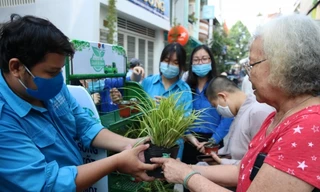 Các bạn trẻ cùng hưởng ứng chiến dịch “Thành phố xanh”