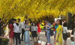 TPHCM: Du xuân sớm, nhiều người lơ là phòng dịch COVID -19