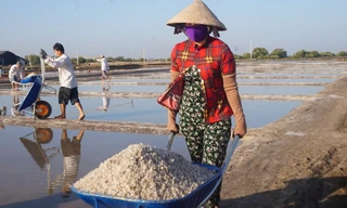 Cận cảnh 'nghề gieo nước biển' đầu năm ở phương Nam