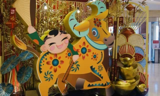 Đường phố TPHCM lung linh trang trí trâu vàng đón Tết Tân Sửu