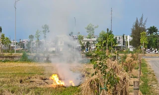 Mịt mù khói đốt đồng mùa gặt ở Huế