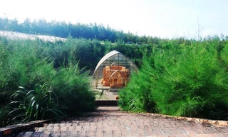 Văn hóa Champa ở TT-Huế - thành tố tạo bản sắc văn hóa dân tộc Việt