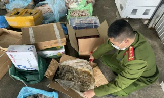 Kho đông lạnh ở Huế chứa 1,8 tấn thịt bốc mùi, quá hạn nhiều năm