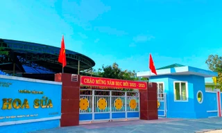 Buộc thôi việc 2 giáo viên mầm non ở Huế vì dùng bằng giả