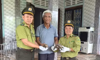 Loạt động vật hoang dã vừa được cứu hộ tại Huế quý hiếm mức nào?