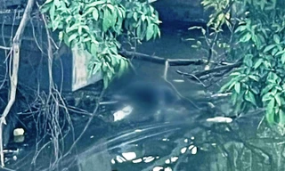 Tìm tung tích nạn nhân tử vong, thi thể nổi trên sông tại Huế