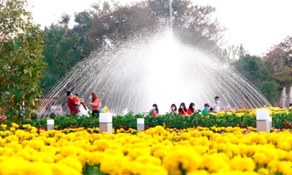 'Check-in' tại vườn hoa Tết khổng lồ ven sông Hương